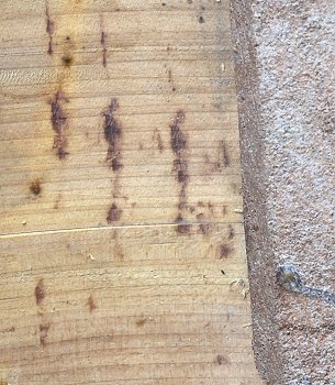 Hot iron marks on the underside of the Sanguino guitar (closeup)