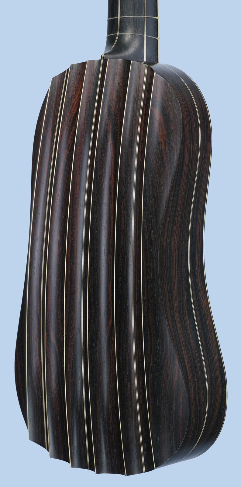 flutedback Dias vihuela back in perspective