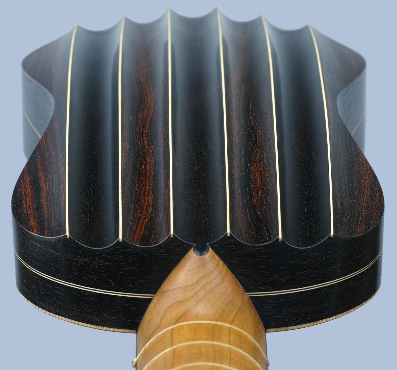 Fluted-back vihuela de mano, body neck end view